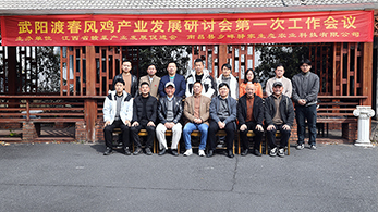 贛州總經理 張望林作爲視頻(pín)專家組受邀參加（武陽渡·春風雞）産業發展研讨會
